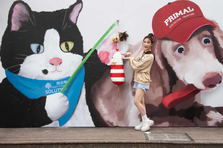 【新聞照三】Nikita舒子晨被貓逗! 吸睛度破表.jpg