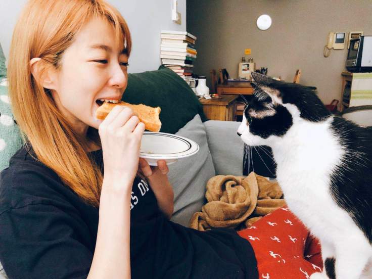 小路與愛貓紅大詞